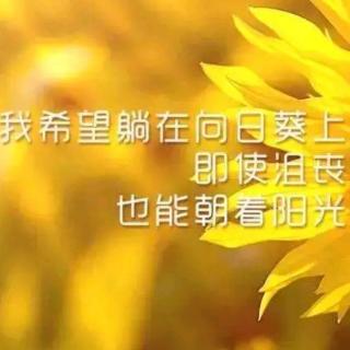 西魏幼儿园早安☀☀☀