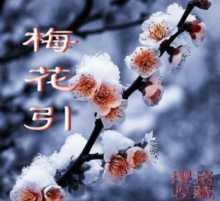 梅花引•荆溪阻雪