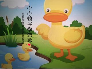 卓越幼儿园晚安故事—小小鸭子🦆学游泳