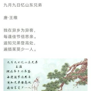 兴宝朗诵古诗38《九月九日忆山东兄弟》