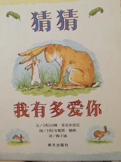 猜猜我有多爱你