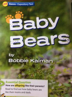 G2 Literature U2W4 - Baby Bears