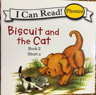 Yoyo-Biscuit and The Cat