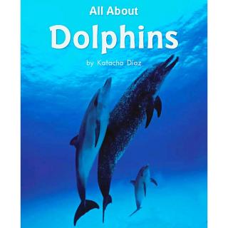 All  About  Dolphins～Leo腾