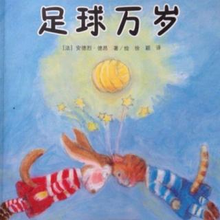 足球⚽️万岁