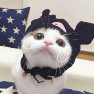 【用心说 | 小灰兔与小白兔】在线收听_张晓宇78_荔枝