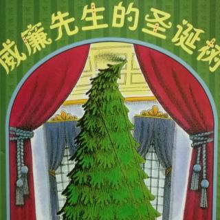 《威廉先生的圣诞树🎄》