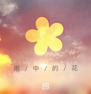 【优】HDCD-雨中的花(纯音乐)