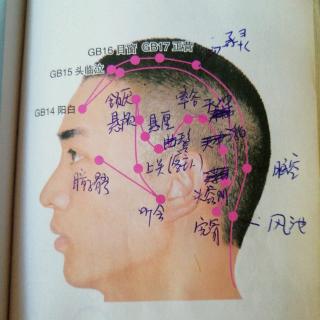 足少阳胆经循行路线及44穴定位主治