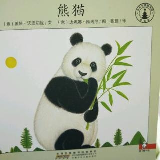 睡前故事113——小小自然图书馆之熊猫