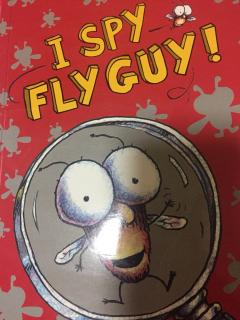 【幸运先生的故事屋】157.I spy fly guy!