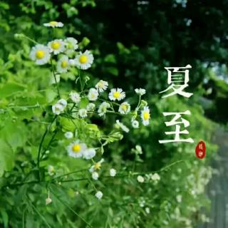 诗歌里的二十四节气﹉夏至