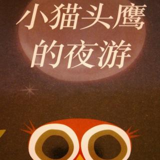 七彩电台晚安宝贝第214期《小猫头鹰的夜游》