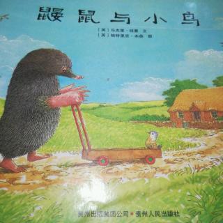 《鼹鼠与小鸟》