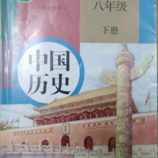 中国历史八下16课《独立自主的和平外交》