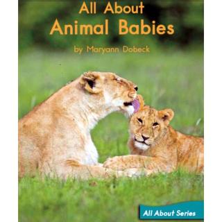 All About Animal Babies～Leo腾