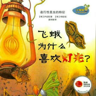 飞蛾，为什么喜欢灯光？