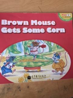 Brown Mouse Gets Some Corn