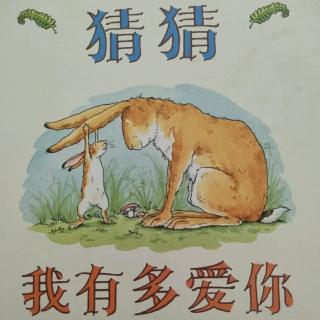 猜猜我有多爱你