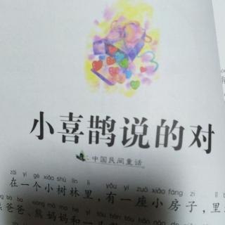 高小乐打卡第80天《小喜鹊说的对》