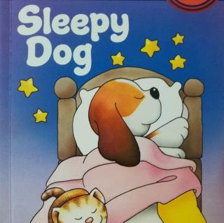2018-06-23Sleepy  dog