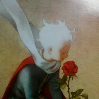 小王子与玫瑰