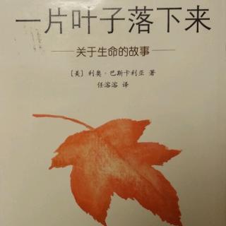 一片叶子落下来