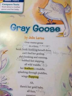 G2 Literature U2W5 - Poetry-Gray Goose