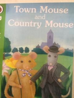 Town mouseand Contry mouse