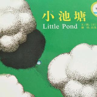 日本绘本故事《小池塘》