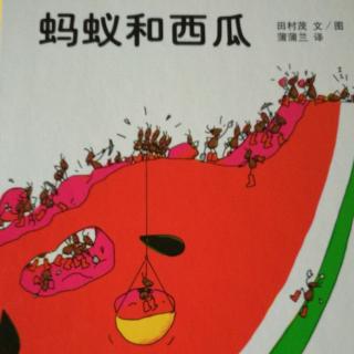 蚂蚁和西瓜🍉