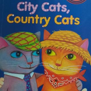2018-06-25City cats,Country cats