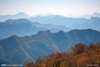 读诗036-《山岗·灰喜鹊》何三坡