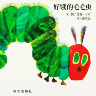 【绘本故事502】——《好饿的毛毛虫🐛》