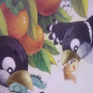第180期绘本故事《感恩的喜鹊》偏关县蓝天幼儿园方老师