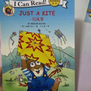 I Can Read经典双语阅读绘本Just a kite一只风筝