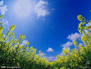 吾道晨读《夏意》晓雅