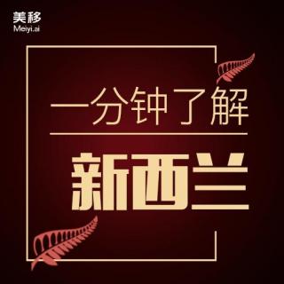 3. 2018年新西兰的移民新政后，哪些人影响最大？