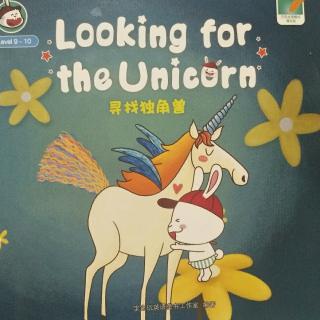 looking  for the Unicorn