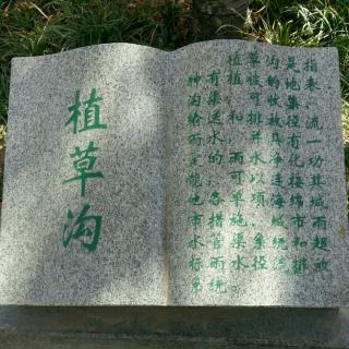 作文：《我的藏书柜》