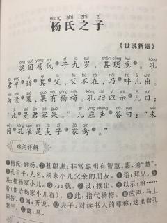 小古文杨氏之子图片