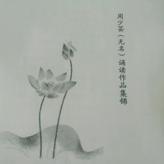 一棵开花的树   作者  席慕容  诵读  无名