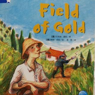 Field of gold