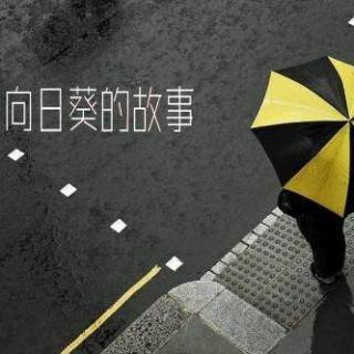 你这一生很短，放过自己吧