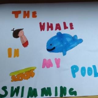 The whale in my swimming pool🐳
