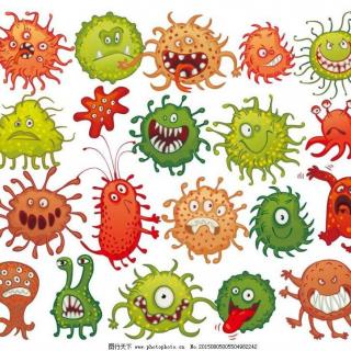 无所不在的生物——细菌