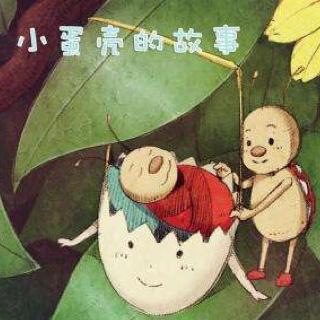 【睡前故事】小蛋壳的故事