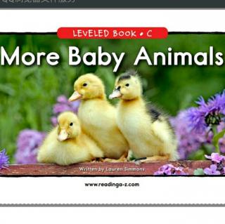 Elaine 20180629 More Baby Animals