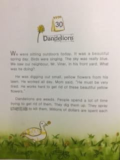 4-30 Dandelions