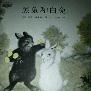 黑兔和白兔，南湖出版社